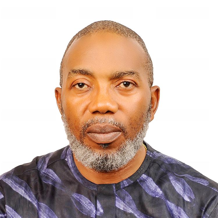 Wale Aderounmu - Everest Management Consulting